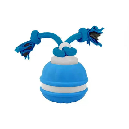 Durable Dog Play Ball with Motion Sensor and Tug Rope in Dog-Friendly Colours
