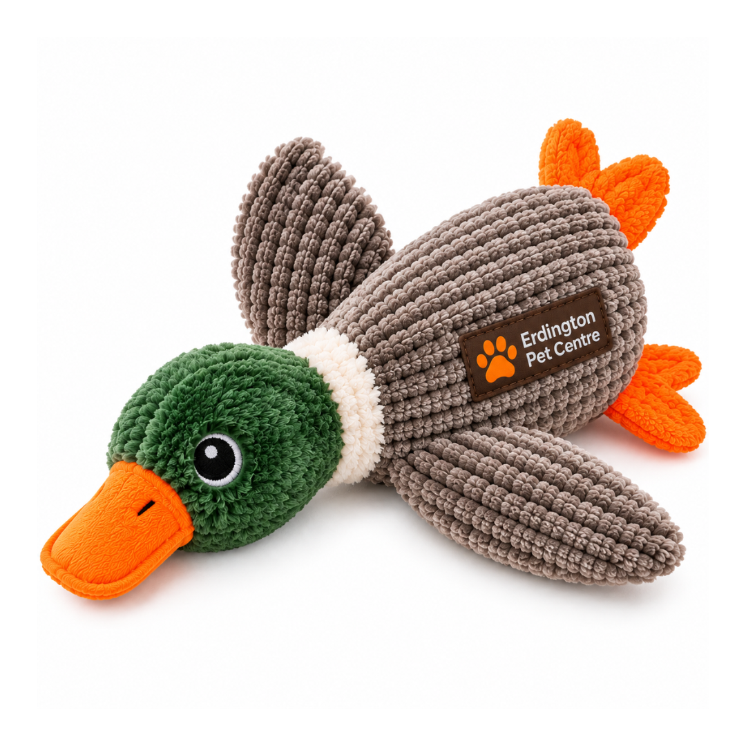 Erdington Pet Centre Plush Duck Squeaky Dog Toy – Green & Orange