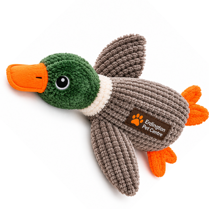 Erdington Pet Centre Plush Duck Squeaky Dog Toy – Green & Orange
