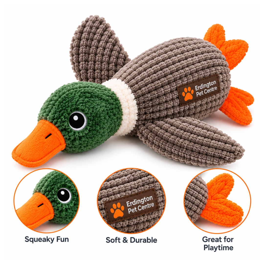 Erdington Pet Centre Plush Duck Squeaky Dog Toy – Green & Orange