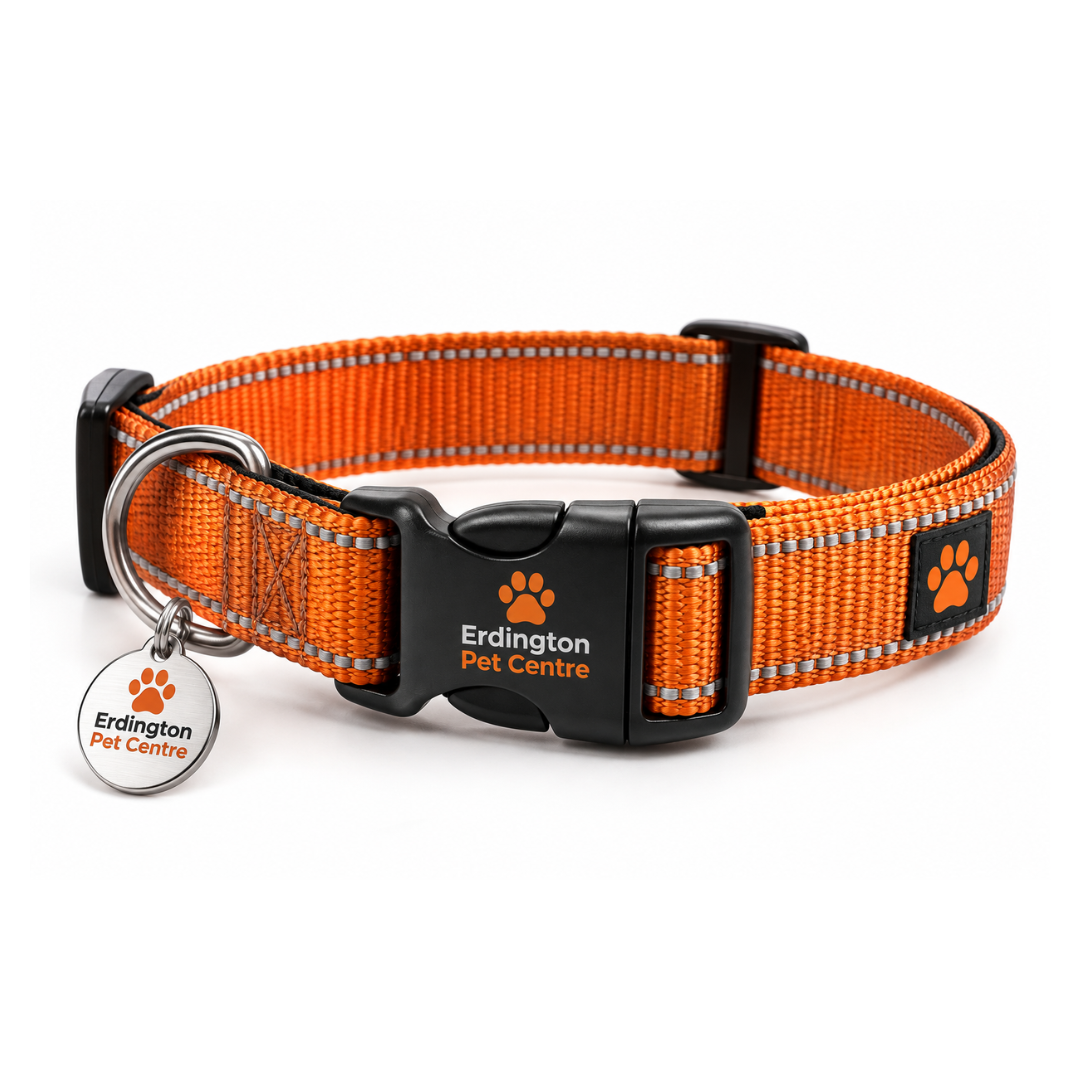 Erdington Pet Centre Adjustable Dog Collar with ID Tag – Orange