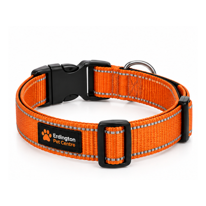 Erdington Pet Centre Adjustable Dog Collar with ID Tag – Orange